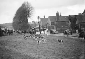 Hunting Prints: The hunt is off with the hounds chasing the scent. 25 October 1937