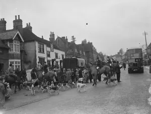 Hunting scenes in Bletchingley, Surrey. The hounds run through the streets ahead