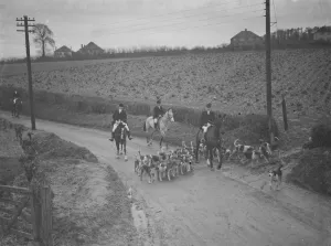 Hunting Prints: The huntsmen and their hounds follow the scent down the road. 31 January 1938