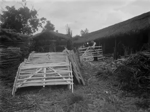 Hurdle making. 1937