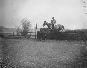 Fence Prints: Hursley Hunt Point to Point at Farly Mount Lord Apsley and his mount Samuel