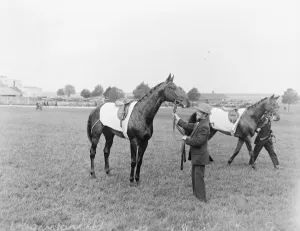 Hurstwood racehorse 1924