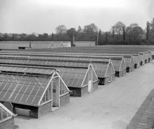 Hyde Park. A short distance from the Serpentine there is a 5 acre enclosure containing