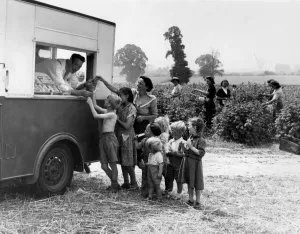 Ice Cream for the Fruit pickers The ice cream vendor does a steady trade throughout