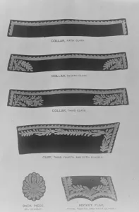 Illustration from Mr H Trendells book Dress and Insignia Worn at Court. Embroidery