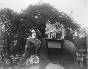 Indian elephant and his mahout have a busy time. One day the visitors at the zoo