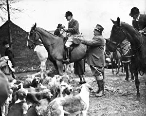 1940s Collection: An invitation meet of the East Sussex Foxhounds was held today at Court Lodge Farm