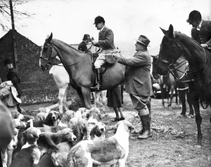 1940s Prints: An invitation meet of the East Sussex Foxhounds was held today at Court Lodge Farm