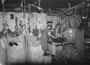 Iron metal and waste merchants. 1937