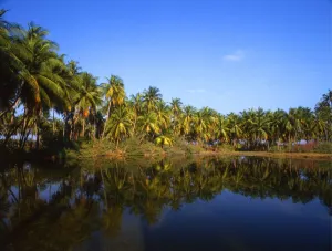 Paradise Prints: The island of Bangaram, in the Laccadive Islands