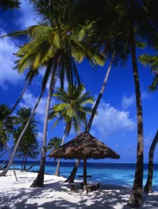 The island of Little Bandos, in the Maldives