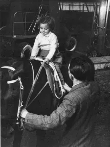 Tricks Act Perform Prints: Jane Chipperfield is shown some of the finer points of horsewomanship by uncle John