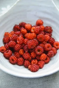 Japanese Wineberry (Rubus phoenicolasius) in small bowl credit: Marie-Louise Avery
