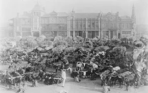 Cargo Prints: Johannesburg in South Africa 11 March 1922