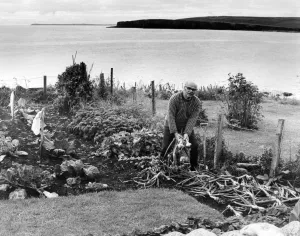 Coastline Prints: John Mowat in his cottage garden by the sea in Freshwick Caithness Scotland seen