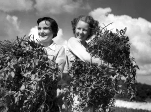 John Topham slide show John Topham presentation Topham lecture Hop picking near