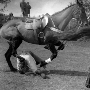 John Topham slide show John Topham presentation Topham lecture Jockey trampled by