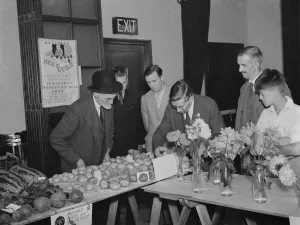 Judge Prints: The judging the vegetables at the Days Lane Horticultural Show, Sidcup. ( F P White )