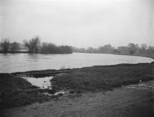 River Prints: Where Julius Caesar crossed the river. War Close Meadow, Walton on Thames, where