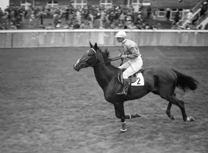 Race Course Prints: Kant II at Goodwood Racecourse. 1937