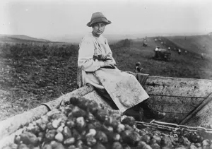 Farming Prints: How King Boriss sister is spending her summer holiday. Princess Eudoxia of Bulgaria