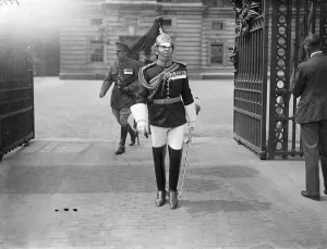 King holds birthday honours investiture at the palace. Photo shows Lieutenant Harry