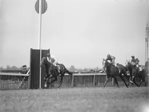 Gallop Prints: The King and Queen witness the race for the Eclipse Stakes. Saltash winning