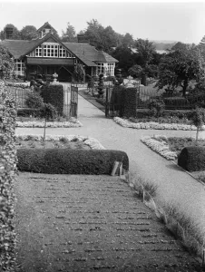 Hedge Prints: The King to go to Sandringham. The King and Queen will leave London for Sandringham on Saturday
