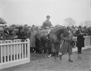 Winner Prints: The Kings double racing victory at Newbury. John Green ( Donoghue up ) after