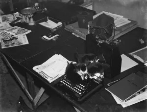 Kittens on a typewriter in an office. 1937