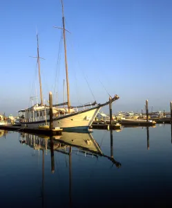 Reflection Prints: KUWAIT - Marina near Kuwait City