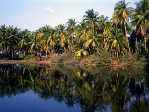 Laccadive Islands Bangaram