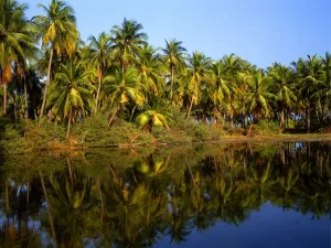 Laccadive Islands Indian Ocean Bangaram Island