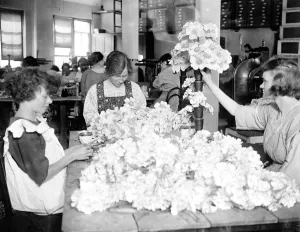Ladies making preparations for Alexandra Rose Day 15 June 1922