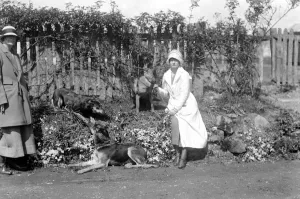 Lady Angela Forbes Silver Badge Training Centre at Westfield, Sussex