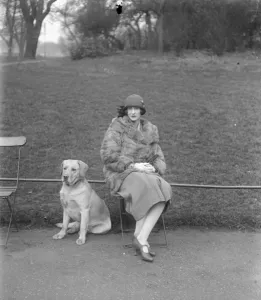 30s 30s 1930s 1930s Thirties Prints: Lady Warrender in hunting accident Lady Warrender, wife of Sir Victor Warrender M P