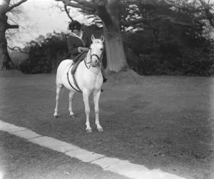 Lady Wentworths Arab Thouroughbreds Crabbet Park Stud, a horse breeding farm