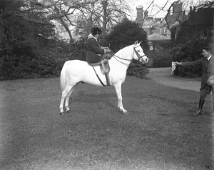 Lady Wentworths Arab Thouroughbreds Crabbet Park Stud, a horse breeding farm