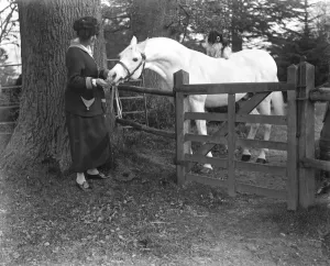 Lady Wentworths Arab Thouroughbreds Lady Wentworth visiting her magnificent Arab