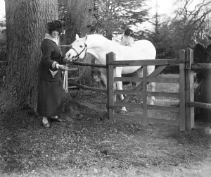 Lady Wentworths Arab Thouroughbreds Lady Wentworth visiting her magnificent Arab