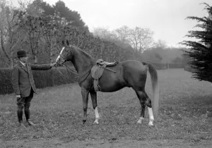 Lady Wentworths Champion Arab Rasin at Crabbet Park Stud Sussex 17 March 1923
