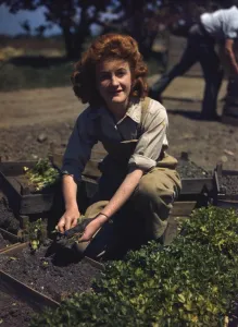 Overalls Prints: Land girl harvesting vegetables WWII