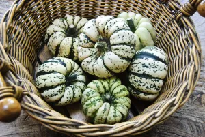 Decorative Prints: Large basket of decorative gourds credit: Marie-Louise Avery / thePictureKitchen