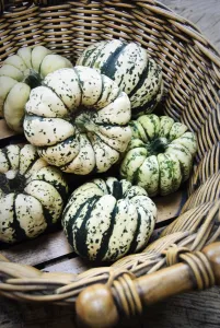 Large basket of decorative gourds credit: Marie-Louise Avery / thePictureKitchen