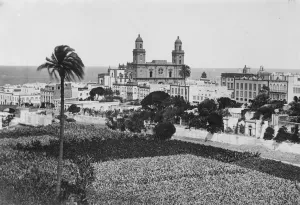 Las Palmas, a general view, showing the cathedral, with banana fields in the foreground