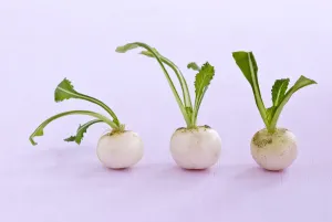 Green Prints: Three little baby turnips on pink surface credit: Marie-Louise Avery / thePictureKitchen