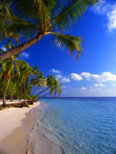 Little Bandos, one of the many islands in the Maldives