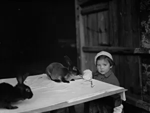 Pets Collection: A little girl looks at the rabbits. 1937