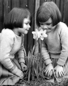 Fifties Prints: Two little girls smelling a daffodil Lynne and Lesley Jones from Orpington Kent 1958