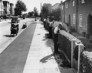 If you live in Downham, Kent in a council house, hedges are cut free of charge. photograph